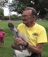 Lewis Miller and brown pelican